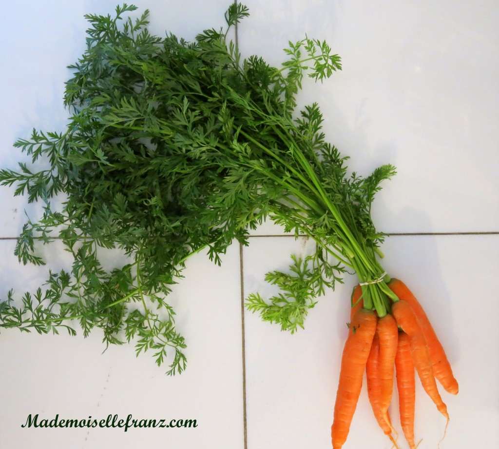 Soupe fanes de carottes